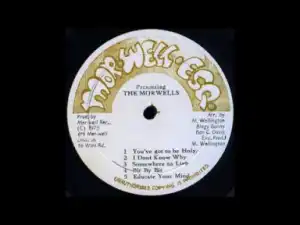 The Morwells - Bit by Bit